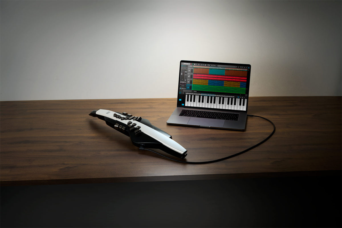 Kèn Điện Tử Roland Aerophone AE-20