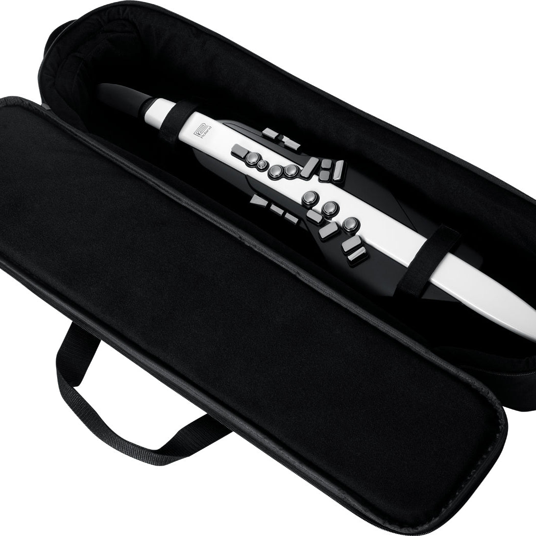 Kèn Điện Tử Roland Aerophone AE-20