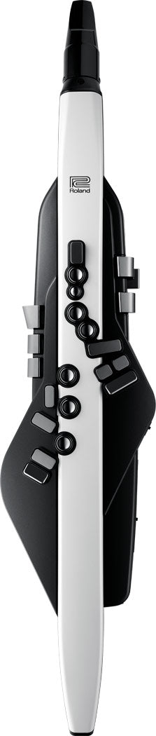 Kèn Điện Tử Roland Aerophone AE-20