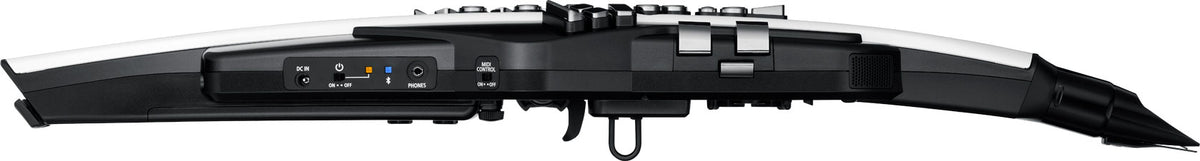 Kèn Điện Tử Roland Aerophone AE-20