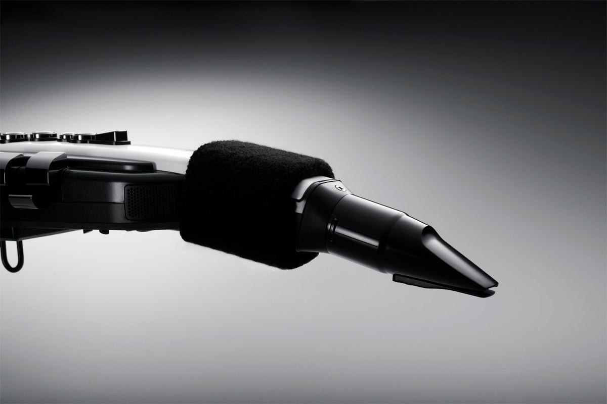 Kèn Điện Tử Roland Aerophone AE-20