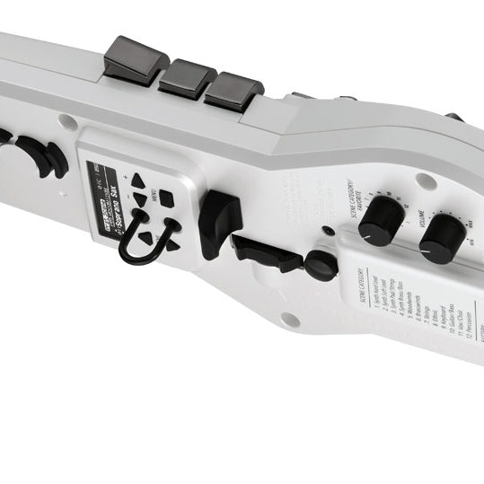 Kèn Điện Tử Roland Aerophone AE-20