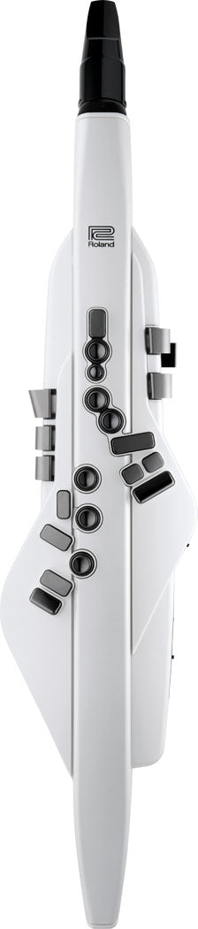 Kèn Điện Tử Roland Aerophone AE-20