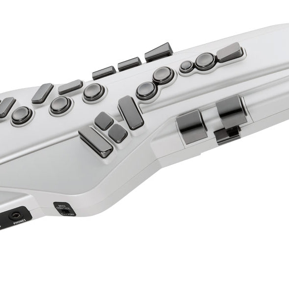 Kèn Điện Tử Roland Aerophone AE-20