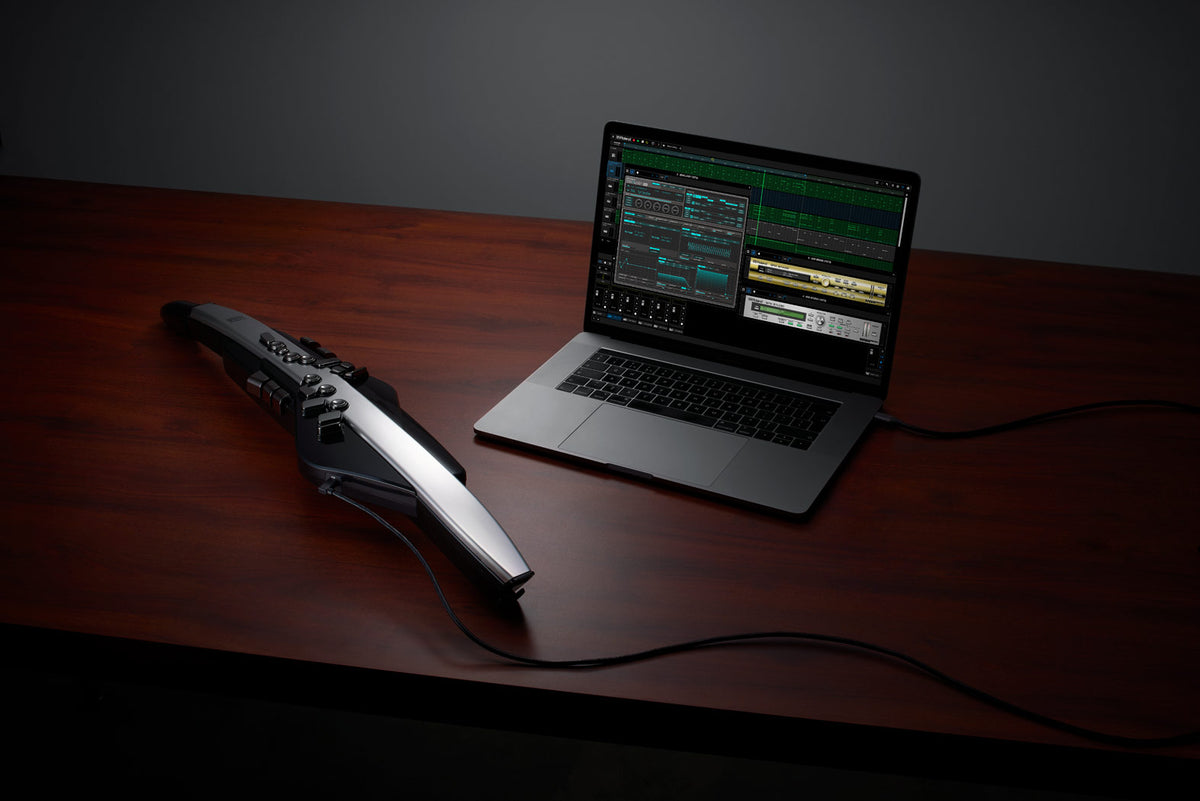 Kèn Điện Tử Roland Aerophone Pro AE-30