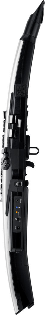 Kèn Điện Tử Roland Aerophone Pro AE-30