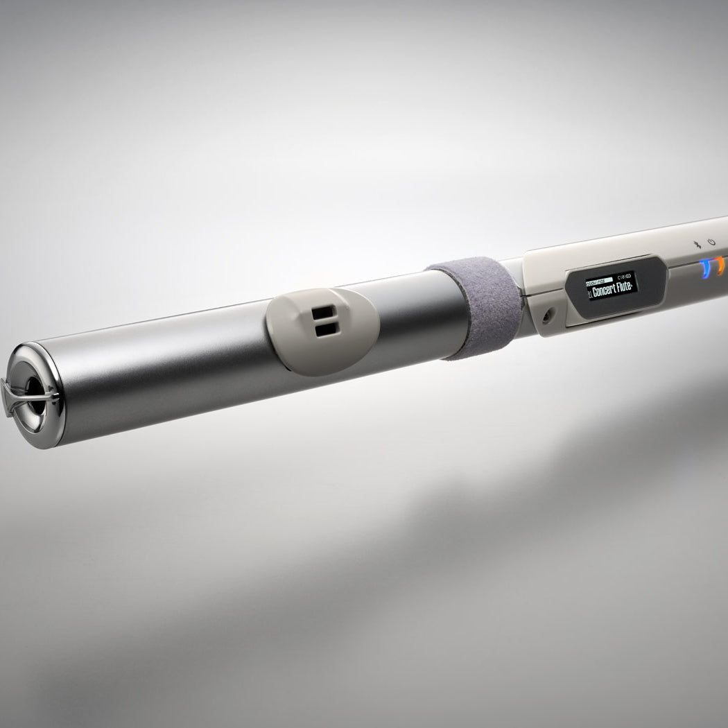 Kèn Điện Tử Roland Aerophone Brisa-Mai Nguyên Music