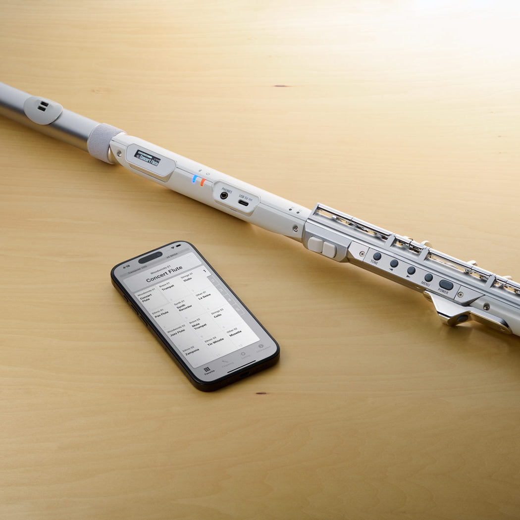 Kèn Điện Tử Roland Aerophone Brisa-Mai Nguyên Music