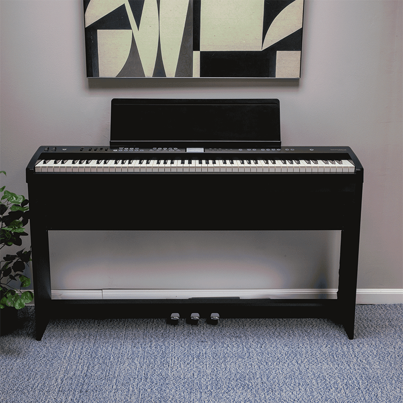 Phụ kiện tuỳ chọn cho gia đình và sân khấu trên Roland FP-E50