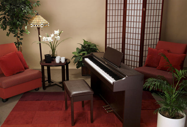 Roland RP101 được thiết kế trang nhã