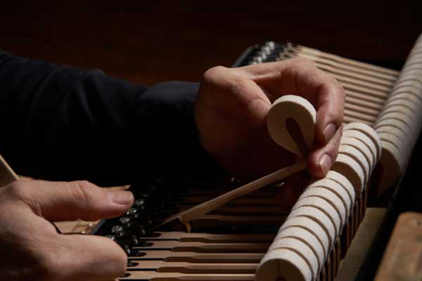 Búa Shiko Seion