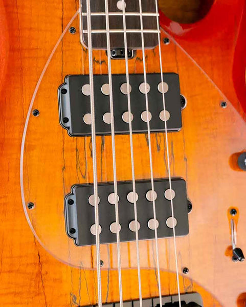 Sterling StingRay RAY35HH, Spalted Maple Top PICK UP