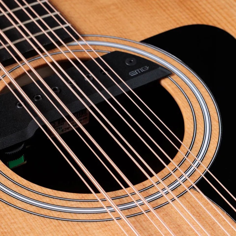 Đàn Guitar Acoustic 10-dây Taylor 150ce Bajo Quinto - Natural-Mai Nguyên Music
