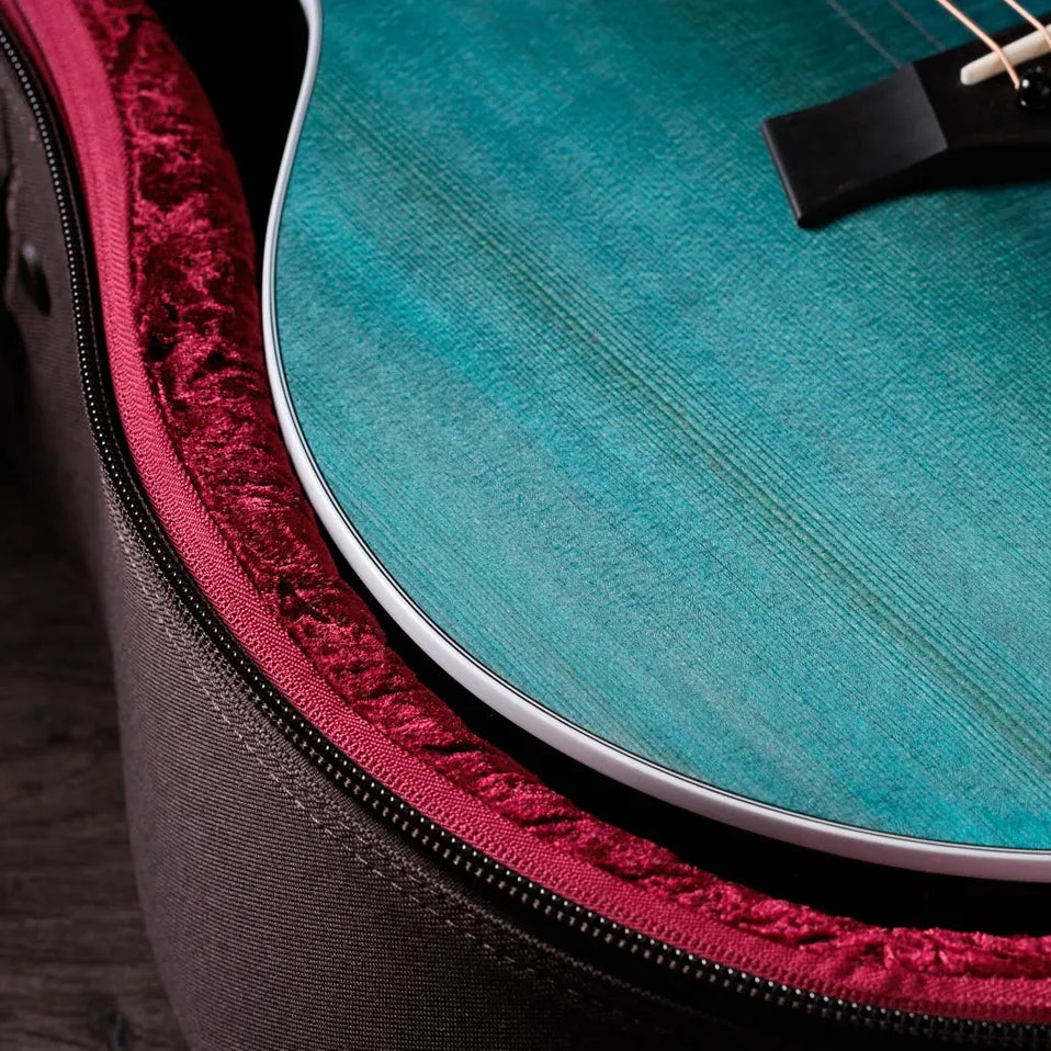 Đàn Guitar Acoustic Taylor 214ce Plus Special Edition-Mai Nguyên Music