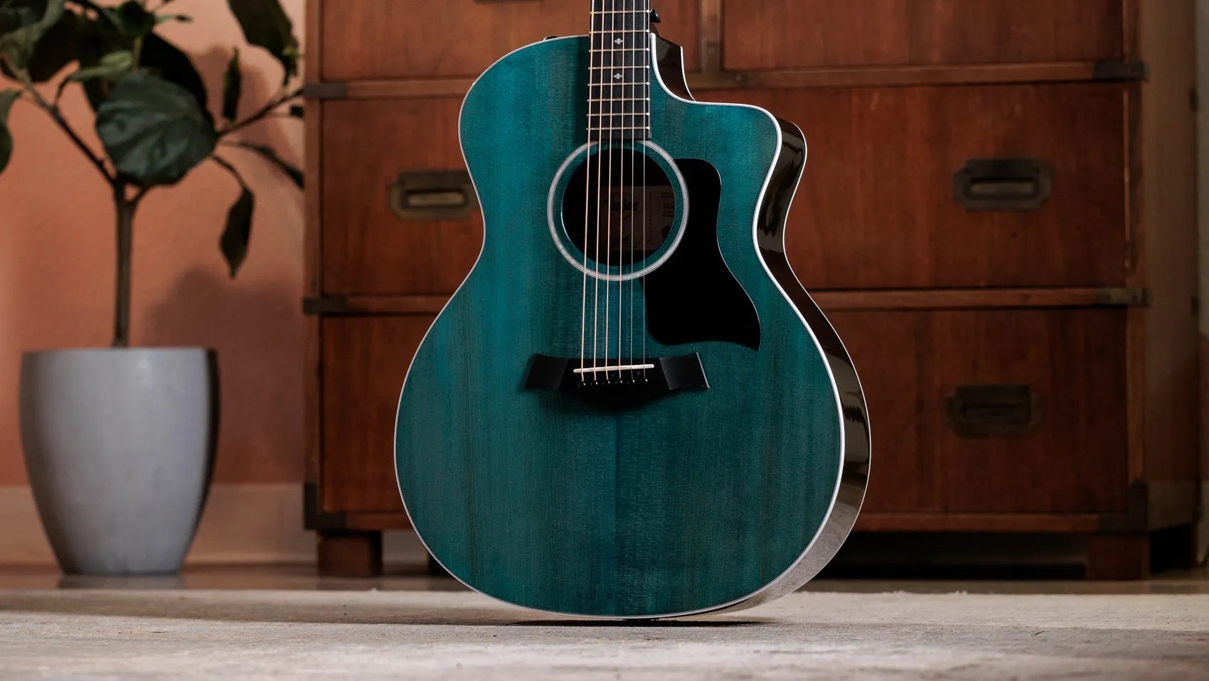 Đàn Guitar Acoustic Taylor 214ce Plus Special Edition-Mai Nguyên Music