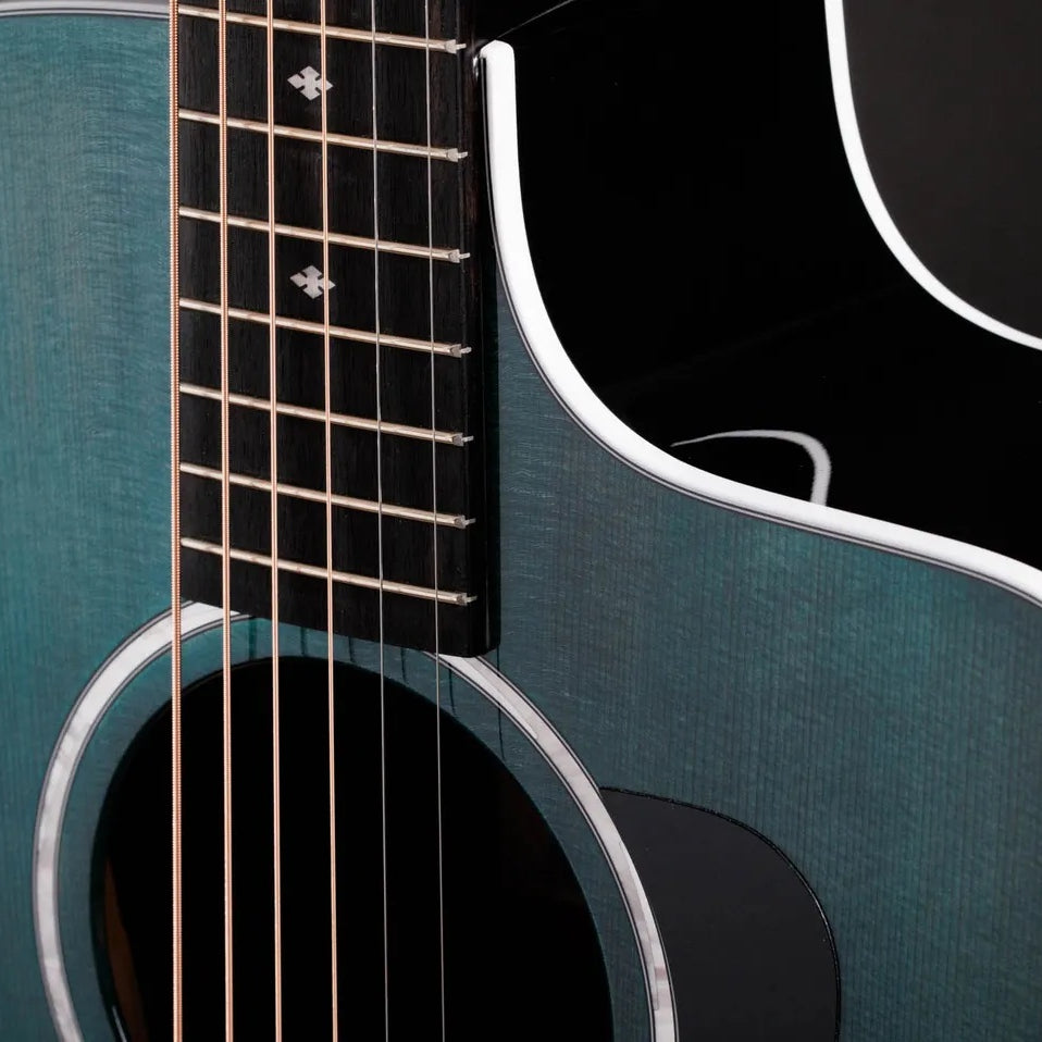 Đàn Guitar Acoustic Taylor 214ce Plus Special Edition-Mai Nguyên Music