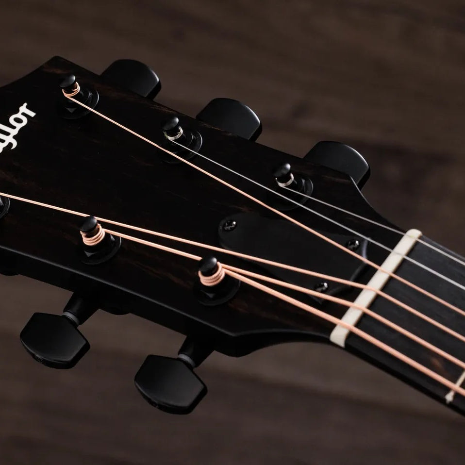 Đàn Guitar Acoustic Taylor 214ce Plus Special Edition-Mai Nguyên Music