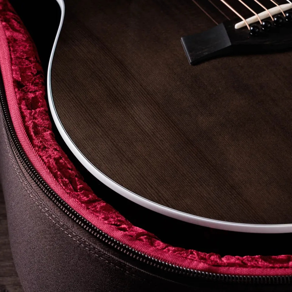 Đàn Guitar Acoustic Taylor 214ce Plus Special Edition-Mai Nguyên Music