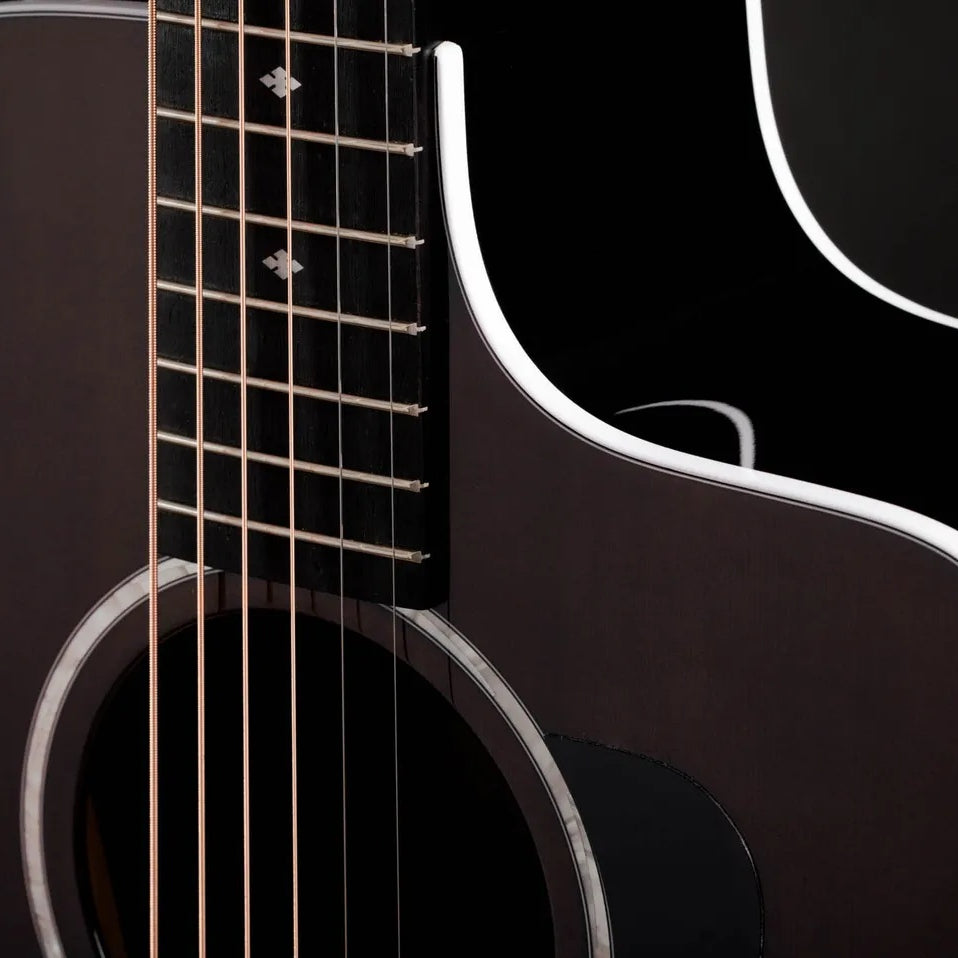 Đàn Guitar Acoustic Taylor 214ce Plus Special Edition-Mai Nguyên Music