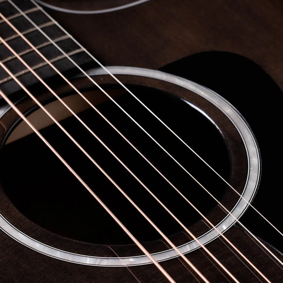 Đàn Guitar Acoustic Taylor 214ce Plus Special Edition-Mai Nguyên Music
