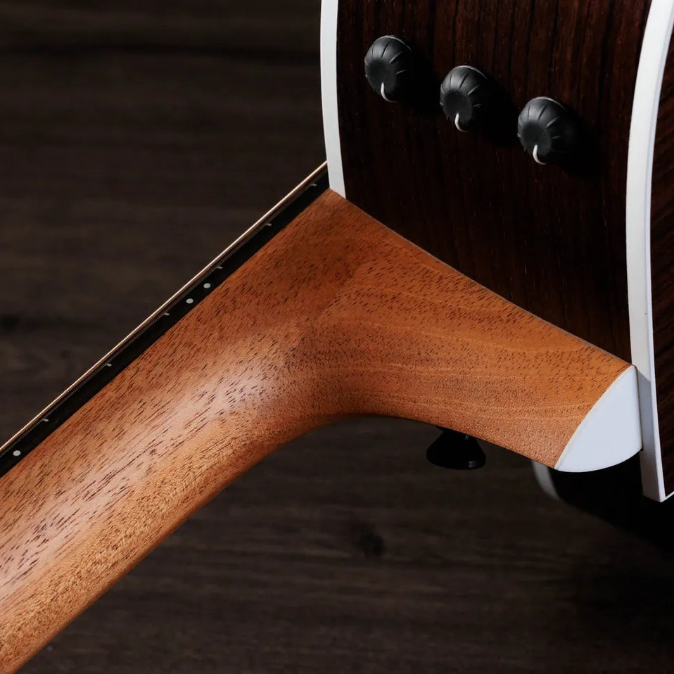 Đàn Guitar Acoustic Taylor 214ce Special Edition - Honeyburst