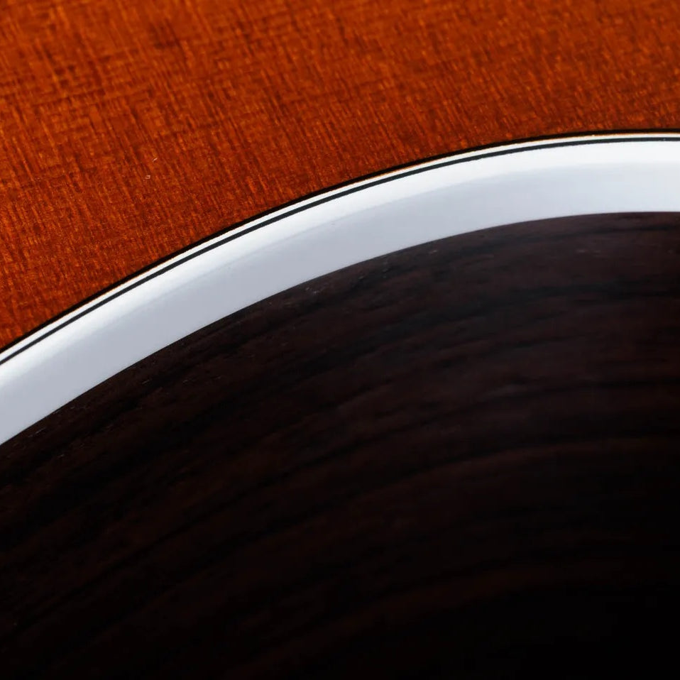 Đàn Guitar Acoustic Taylor 214ce Special Edition - Honeyburst