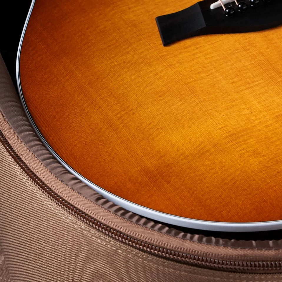 Đàn Guitar Acoustic Taylor 214ce Special Edition - Honeyburst