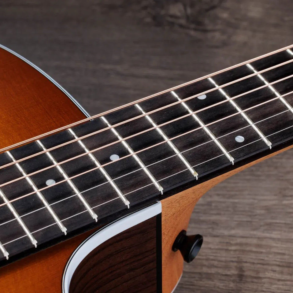 Đàn Guitar Acoustic Taylor 214ce Special Edition - Honeyburst
