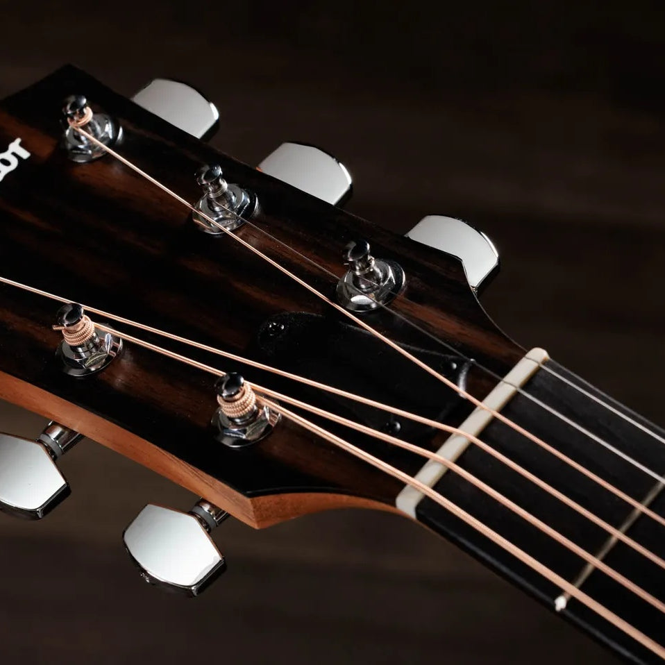 Đàn Guitar Acoustic Taylor 214ce Special Edition - Honeyburst