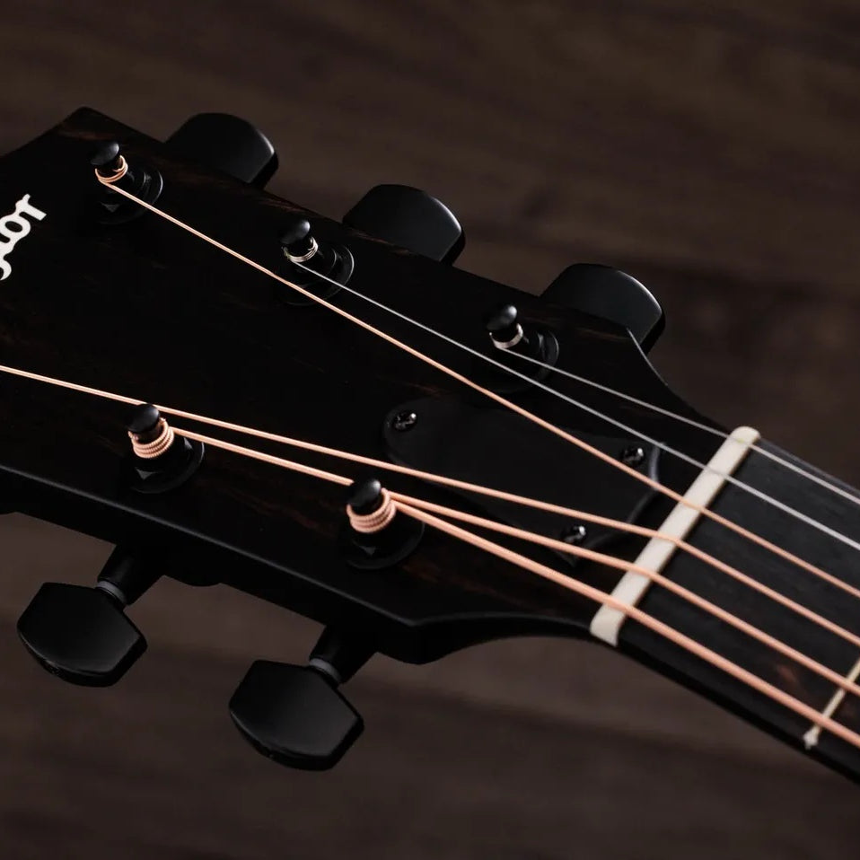 Đàn Guitar Acoustic Taylor 224ce Plus Special Edition - Trans Red