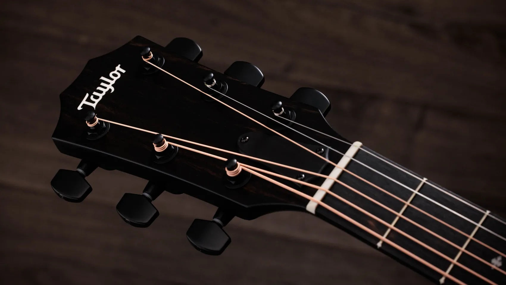Đàn Guitar Acoustic Taylor 224ce Plus Special Edition - Trans Red