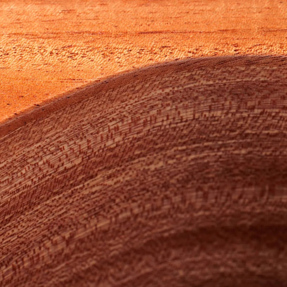Đàn Guitar Acoustic Taylor 24ce - Natural