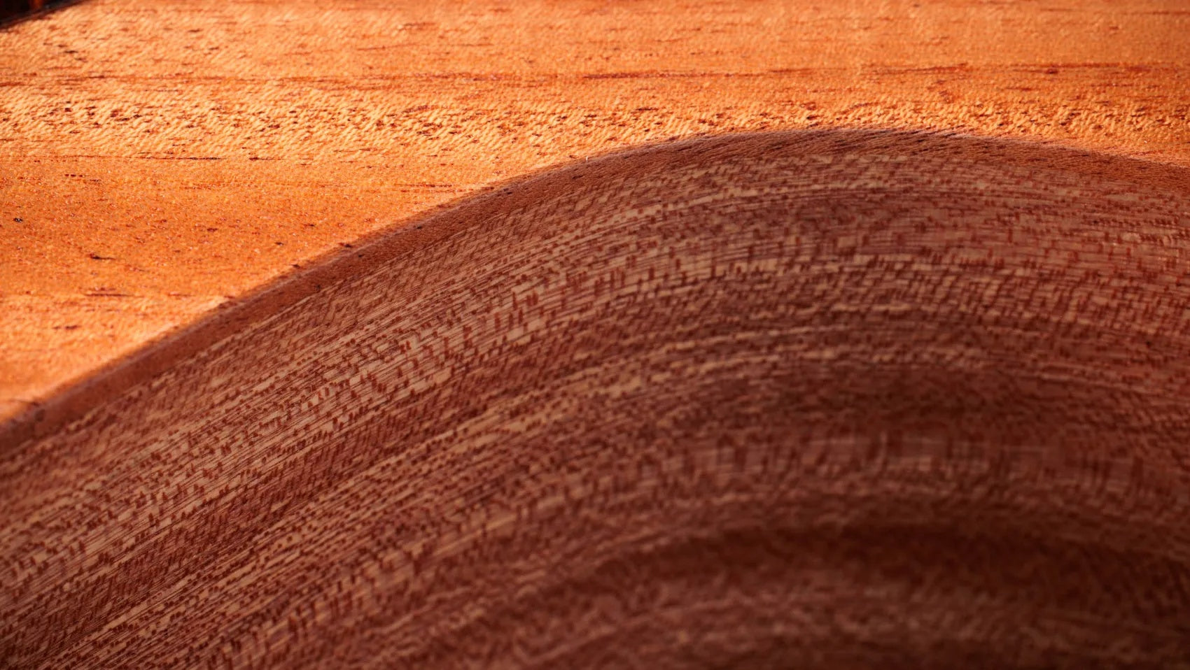 Đàn Guitar Acoustic Taylor 24ce - Natural