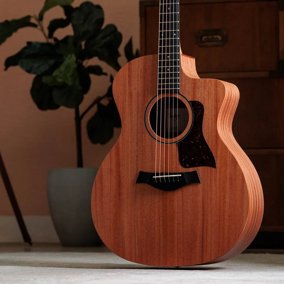 Đàn Guitar Acoustic Taylor 24ce - Natural