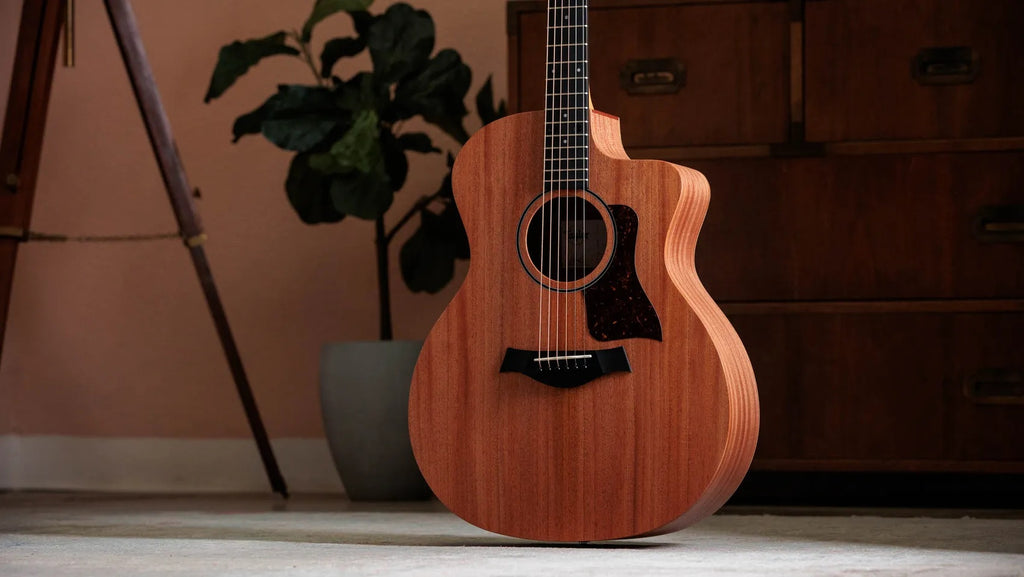 Đàn Guitar Acoustic Taylor 24ce - Natural