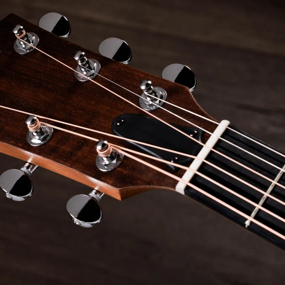 Đàn Guitar Acoustic Taylor 24ce - Natural