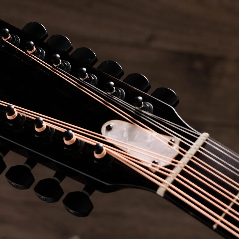 Đàn Guitar Acoustic 12-dây Taylor 250ce Plus Doce Doble - Black