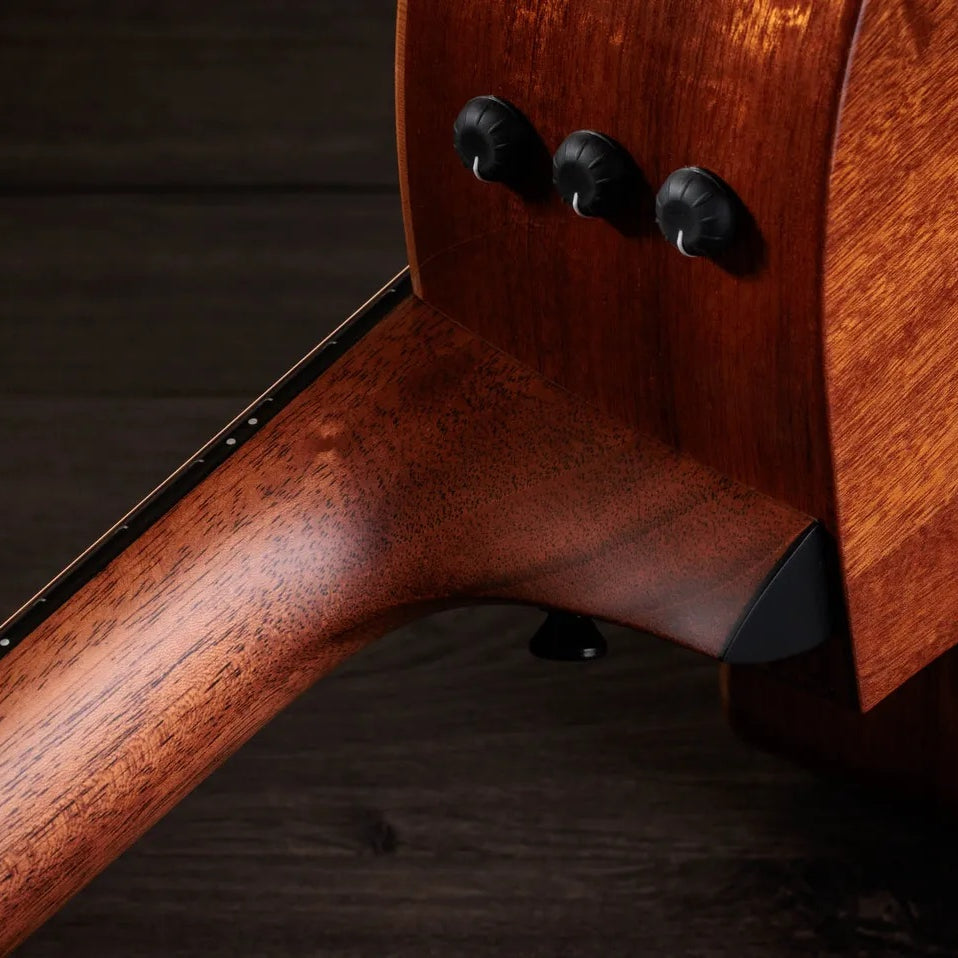 Đàn Guitar Acoustic 12-dây Taylor 354ce Studio Special Edition - Honeyburst