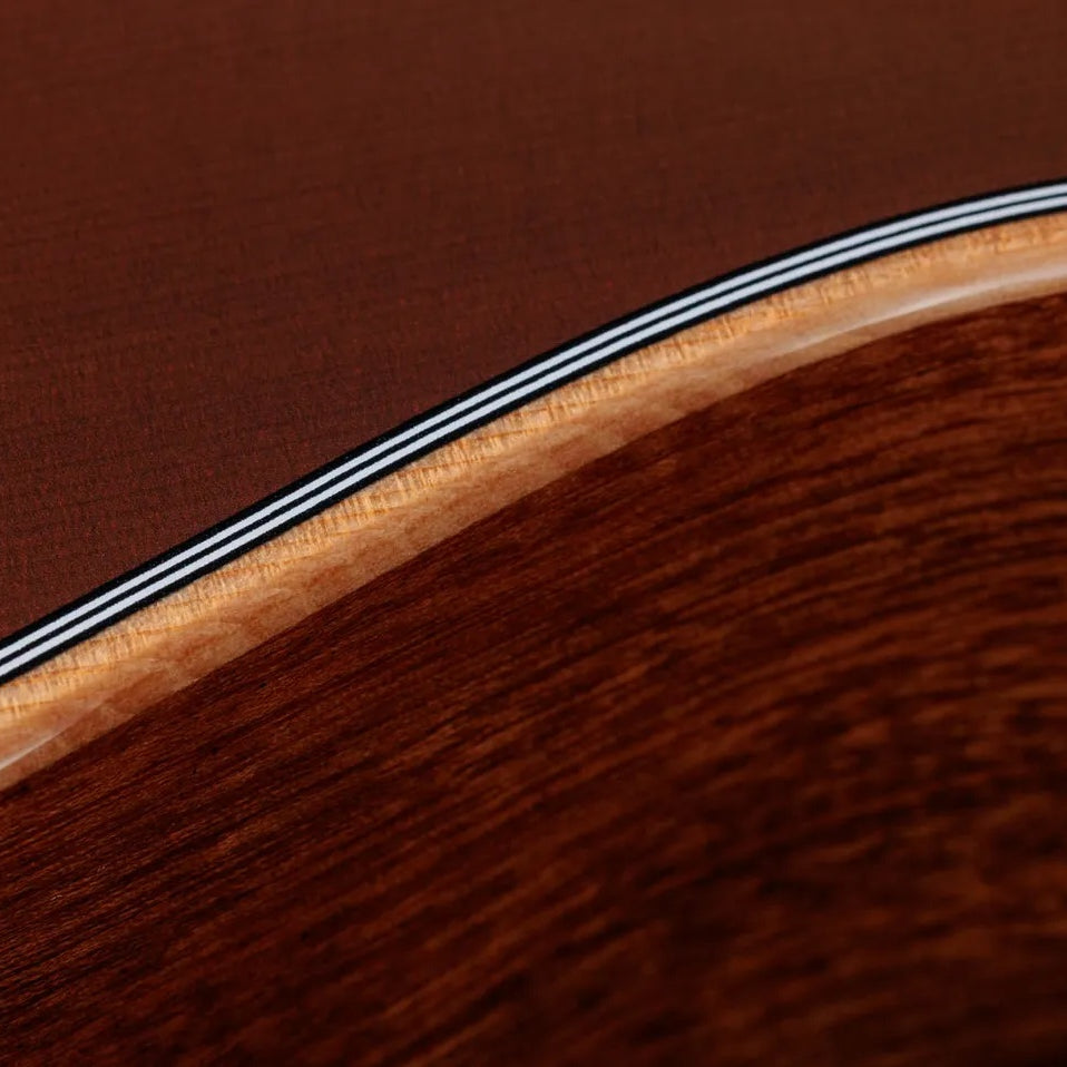Đàn Guitar Acoustic 12-dây Taylor 354ce Studio Special Edition - Honeyburst