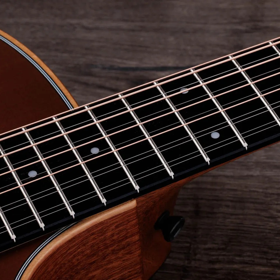 Đàn Guitar Acoustic 12-dây Taylor 354ce Studio Special Edition - Honeyburst