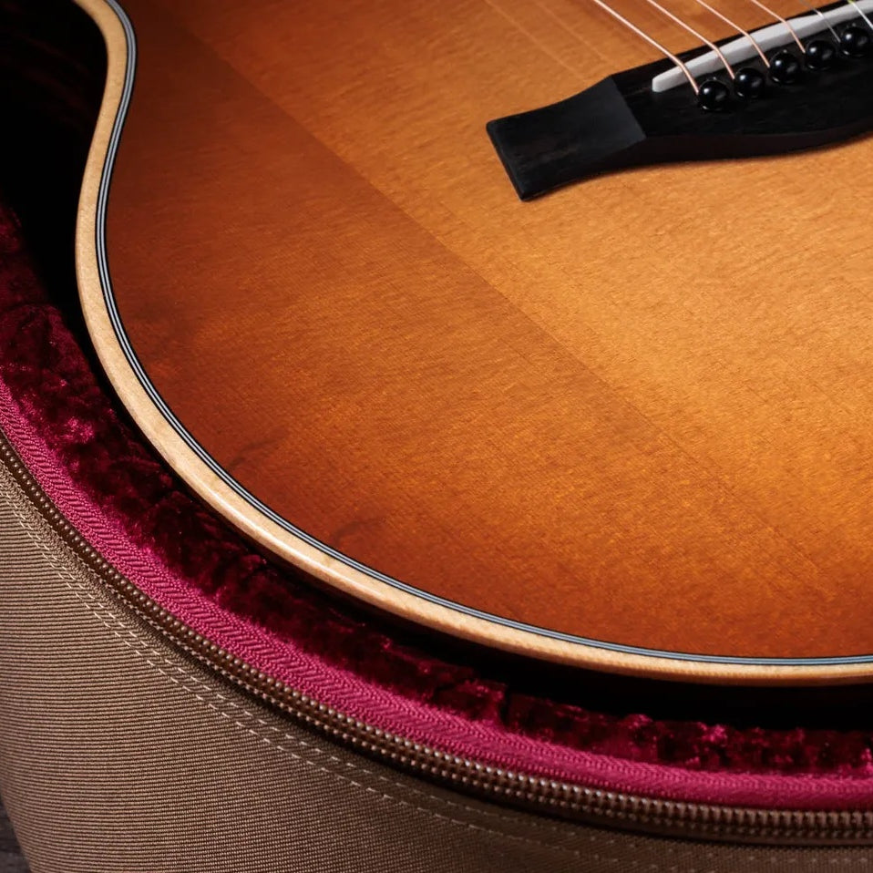 Đàn Guitar Acoustic Taylor 414ce Studio Special Edition - Honeyburst