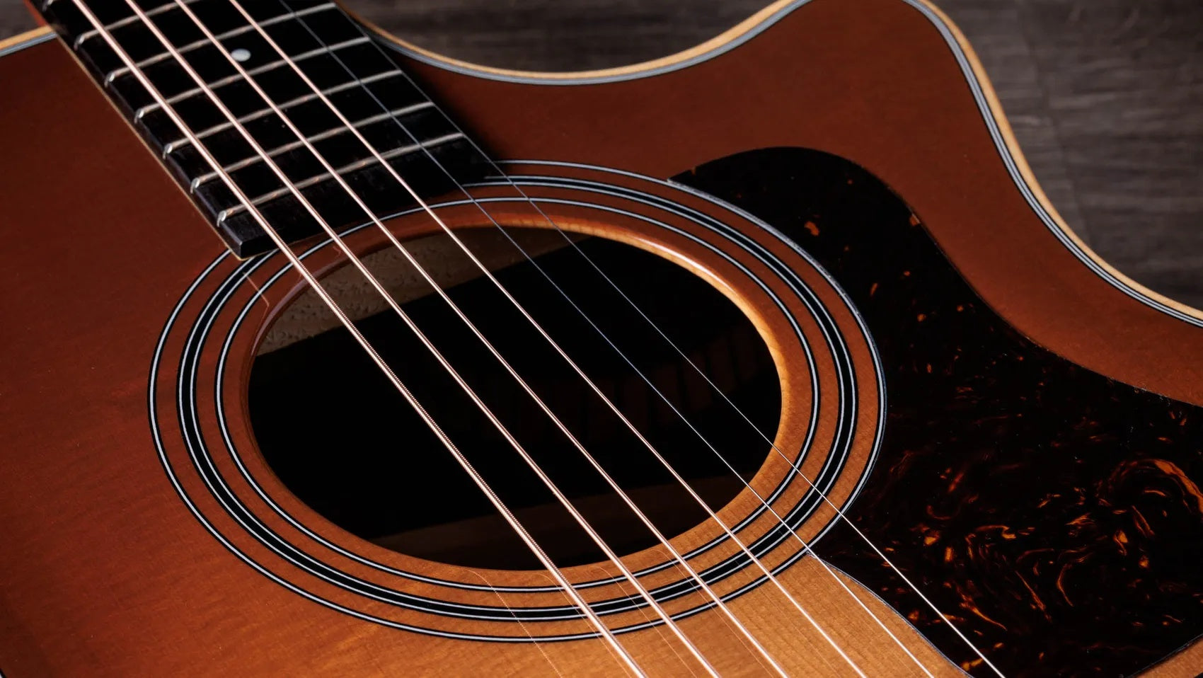 Đàn Guitar Acoustic Taylor 414ce Studio Special Edition - Honeyburst