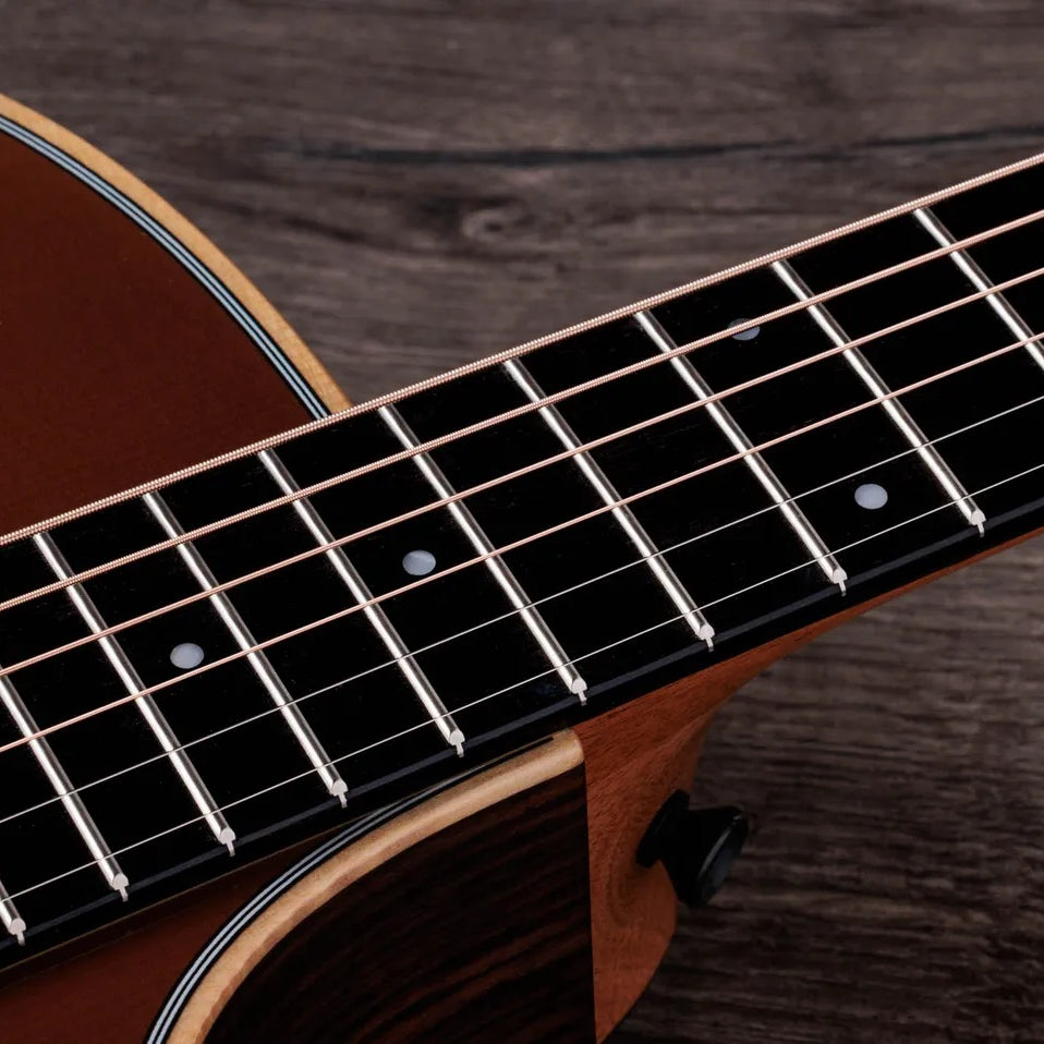 Đàn Guitar Acoustic Taylor 414ce Studio Special Edition - Honeyburst