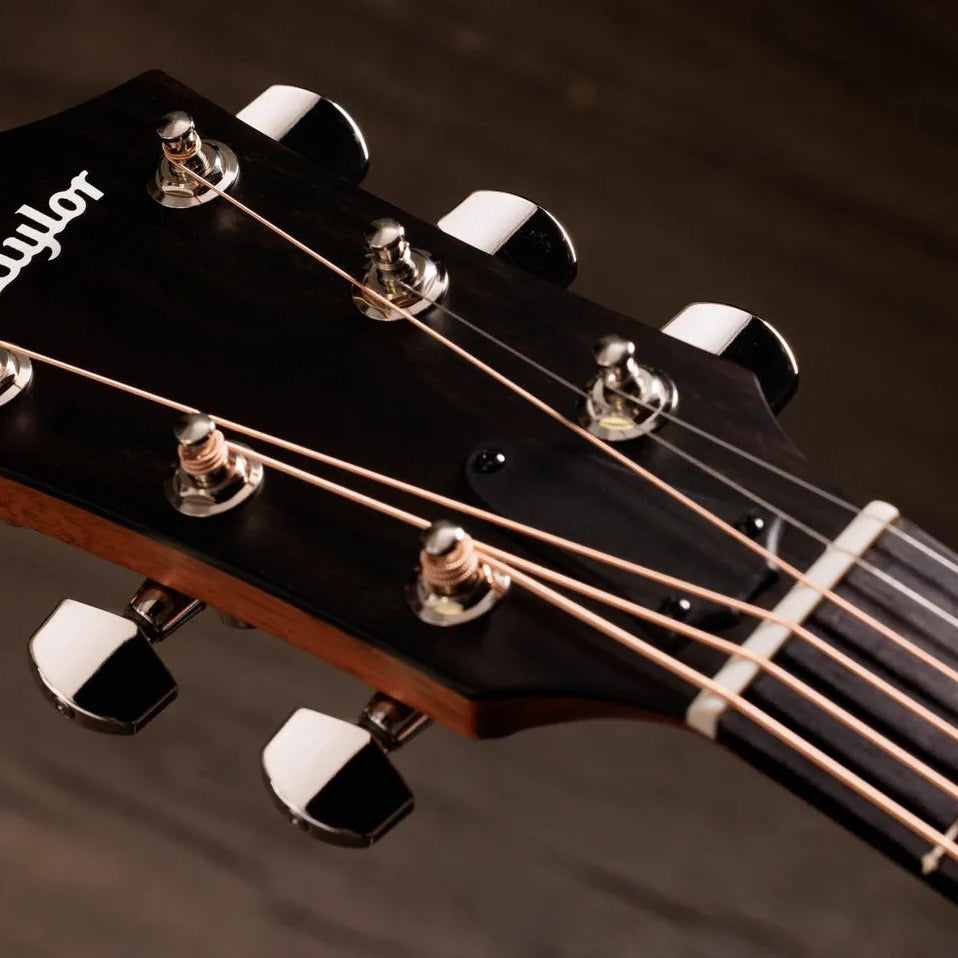 Đàn Guitar Acoustic Taylor 414ce Studio Special Edition - Honeyburst