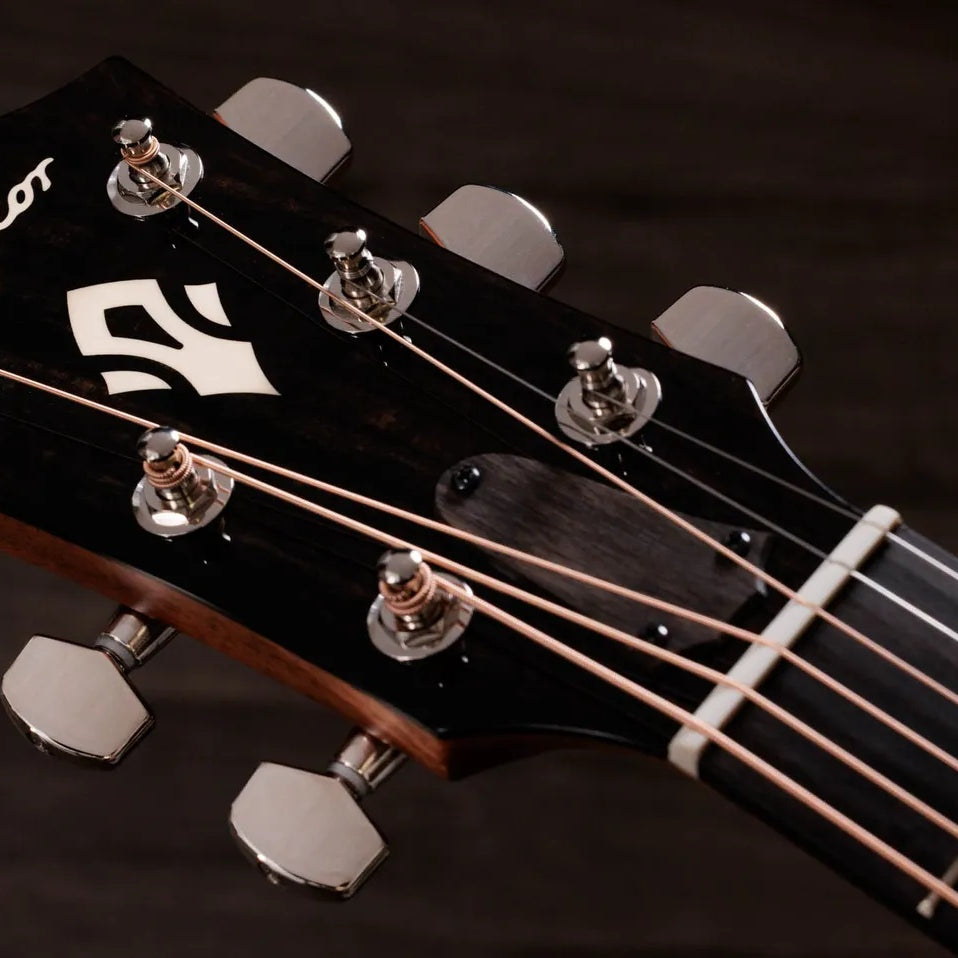 Đàn Guitar Acoustic Taylor Gold Label 510e - Natural