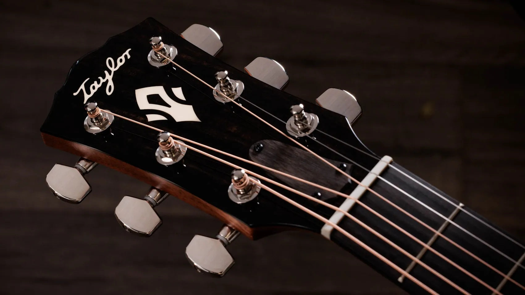 Đàn Guitar Acoustic Taylor Gold Label 510e - Natural
