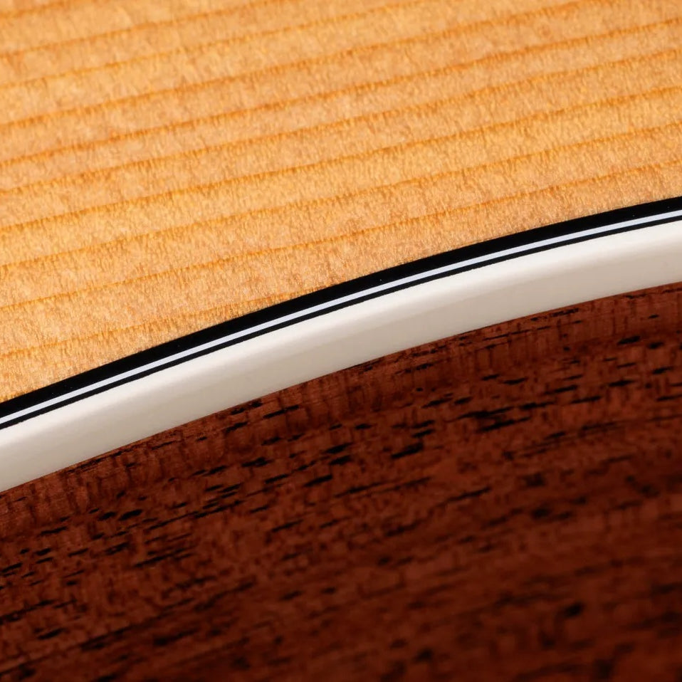 Đàn Guitar Acoustic Taylor Gold Label 510e - Natural