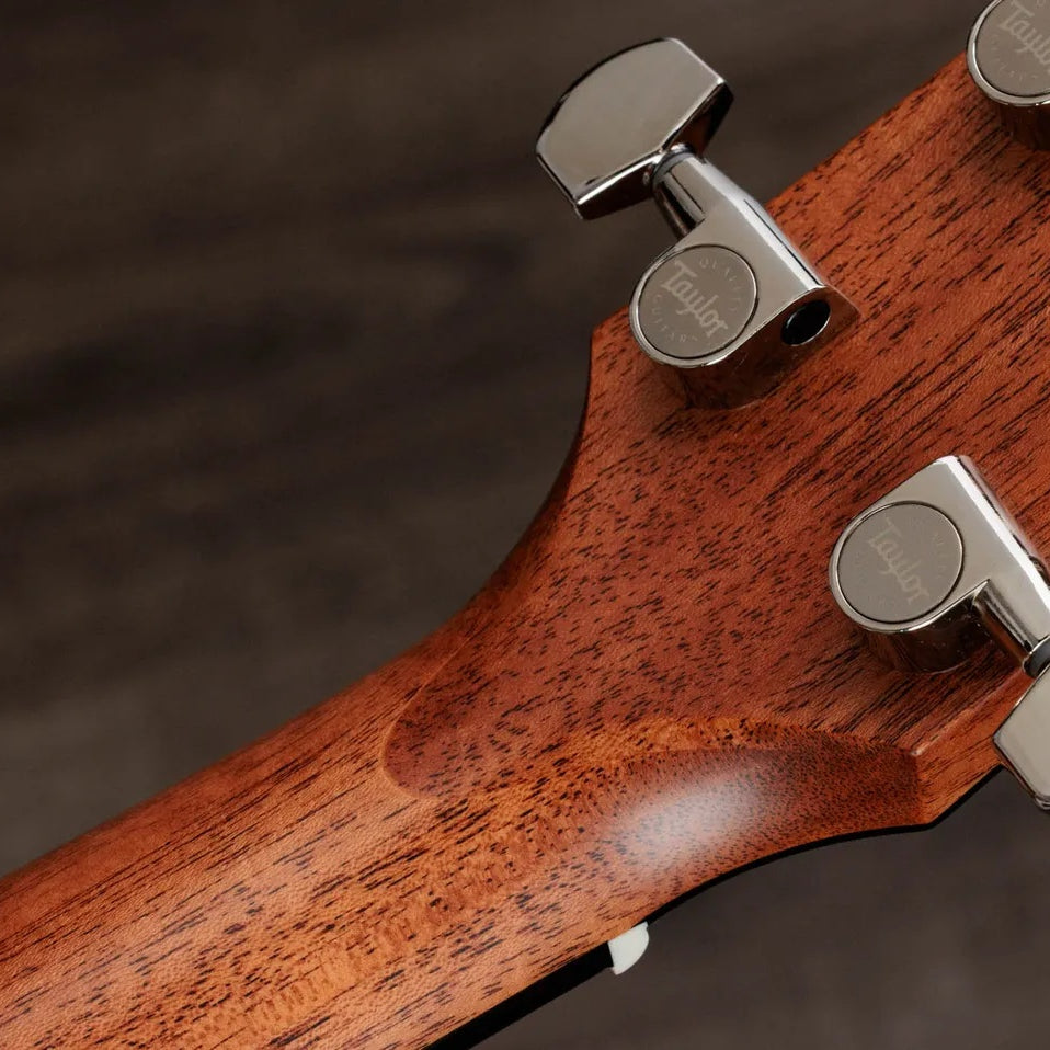 Đàn Guitar Acoustic Taylor Gold Label 510e - Natural