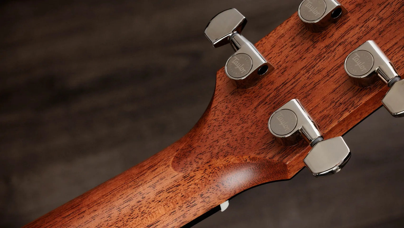 Đàn Guitar Acoustic Taylor Gold Label 510e - Natural