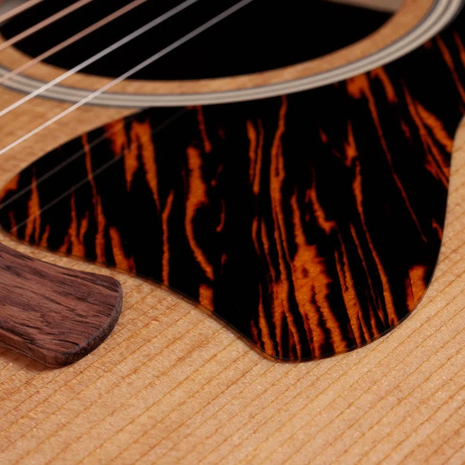 Đàn Guitar Acoustic Taylor Gold Label 510e - Natural